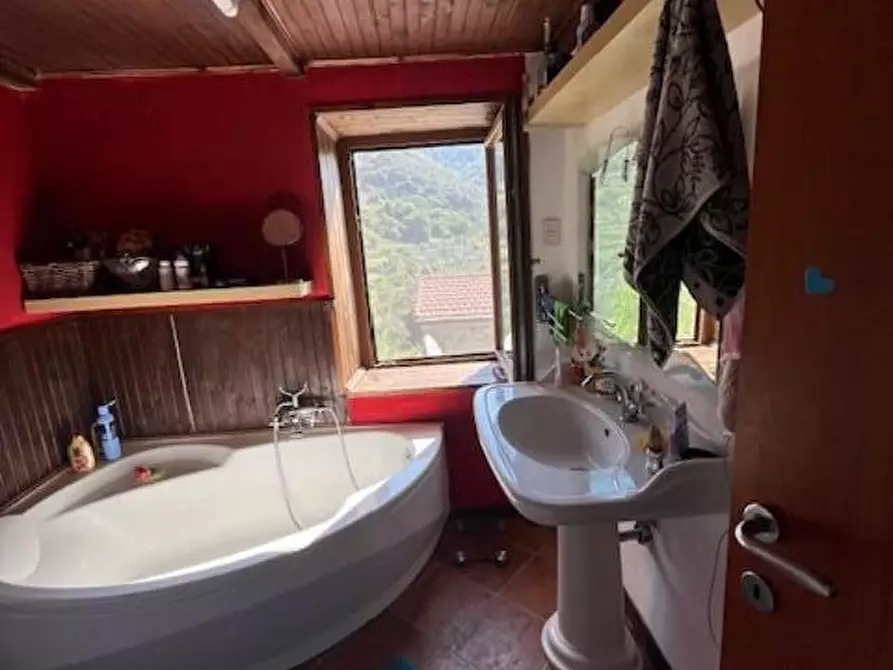 Immagine 19 di Casa bifamiliare in vendita  a Fosdinovo