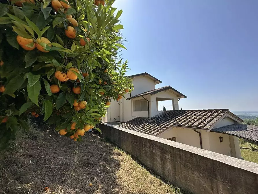 Immagine 37 di Casa colonica in vendita  a Massarosa