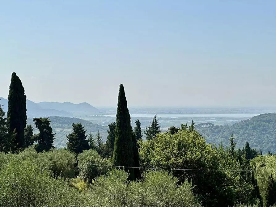 Immagine 24 di Casa colonica in vendita  a Massarosa