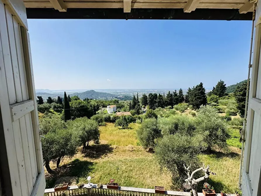 Immagine 23 di Casa colonica in vendita  a Massarosa