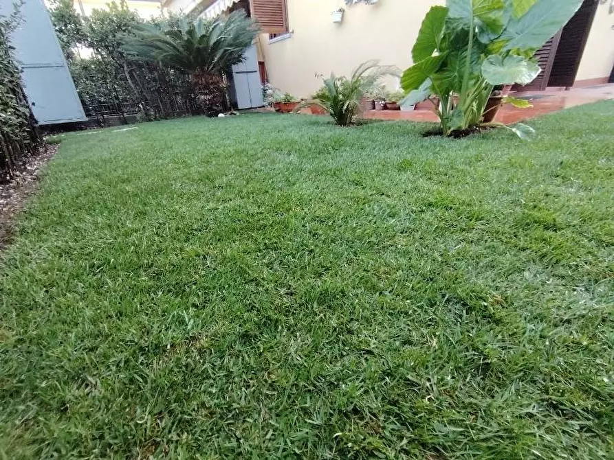 Immagine 5 di Appartamento in vendita  a Massa