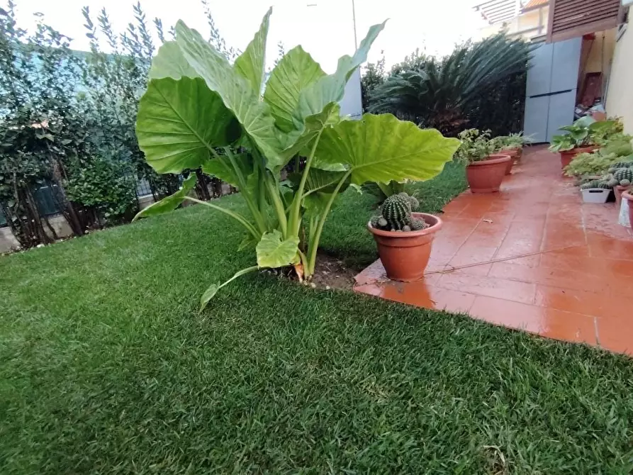 Immagine 2 di Appartamento in vendita  a Massa