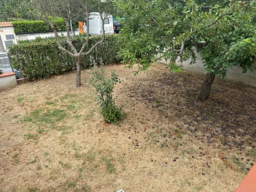 Immagine 10 di Casa bifamiliare in vendita  a Collesalvetti