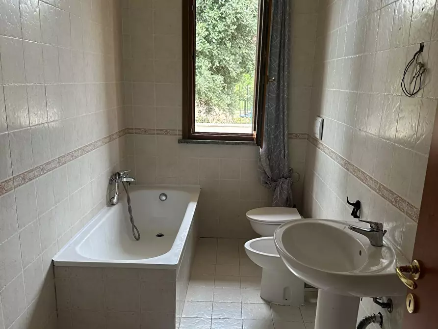 Immagine 8 di Casa bifamiliare in vendita  a Collesalvetti