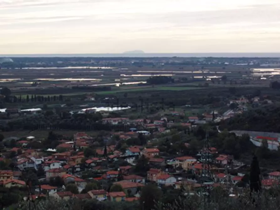 Immagine 6 di Rustico / casale in vendita  a Massarosa