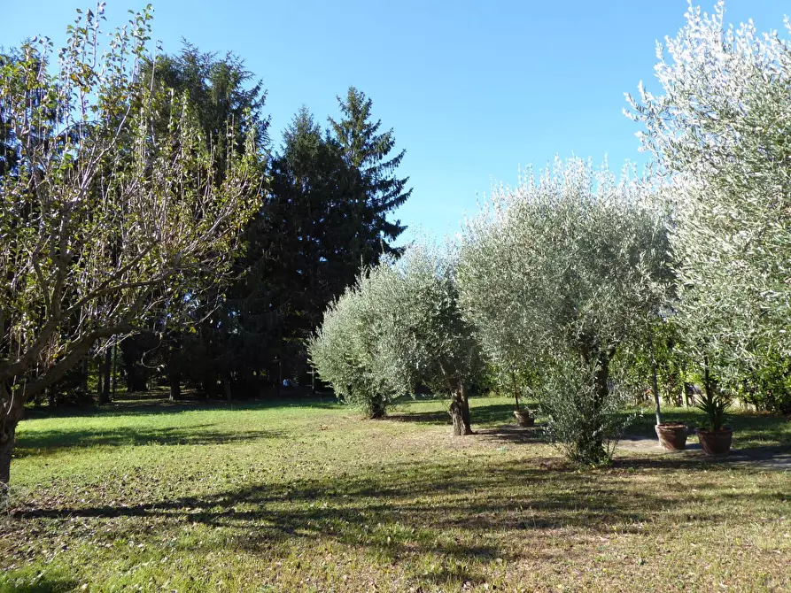 Immagine 9 di Villa in vendita  a Vecchiano