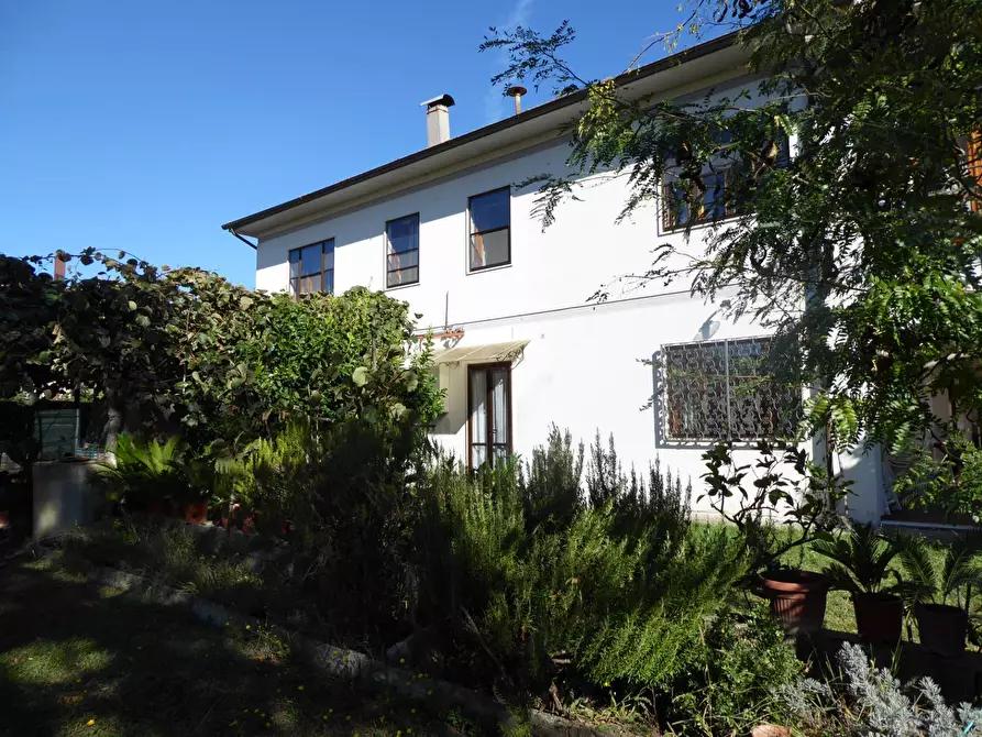 Immagine 5 di Villa in vendita  a Vecchiano