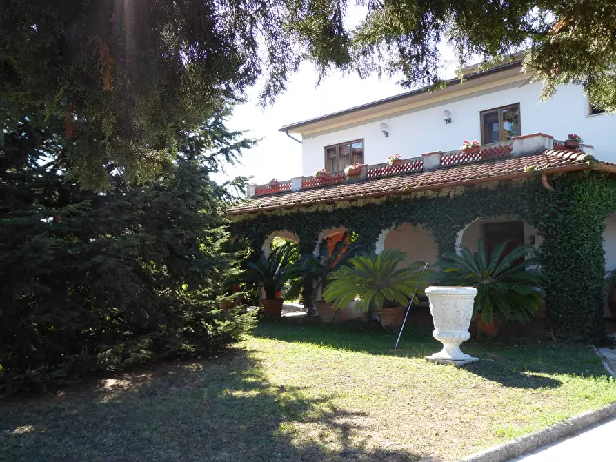 Immagine 3 di Villa in vendita  a Vecchiano