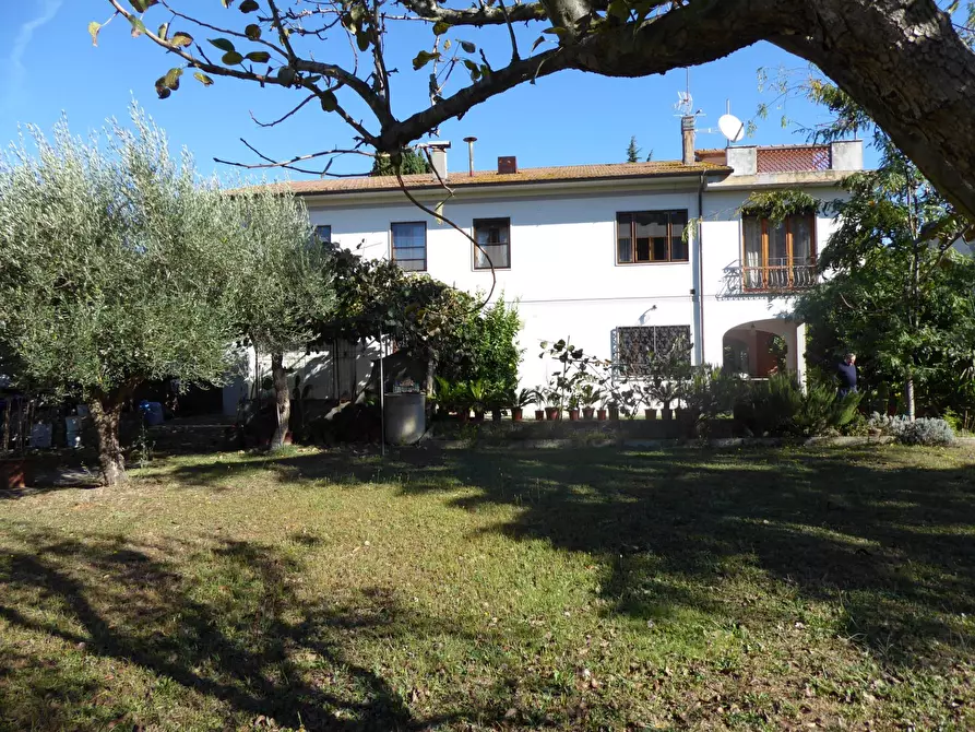 Immagine 22 di Villa in vendita  a Vecchiano