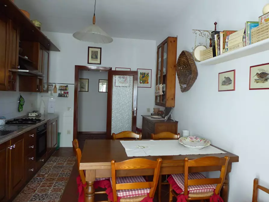 Immagine 18 di Villa in vendita  a Vecchiano