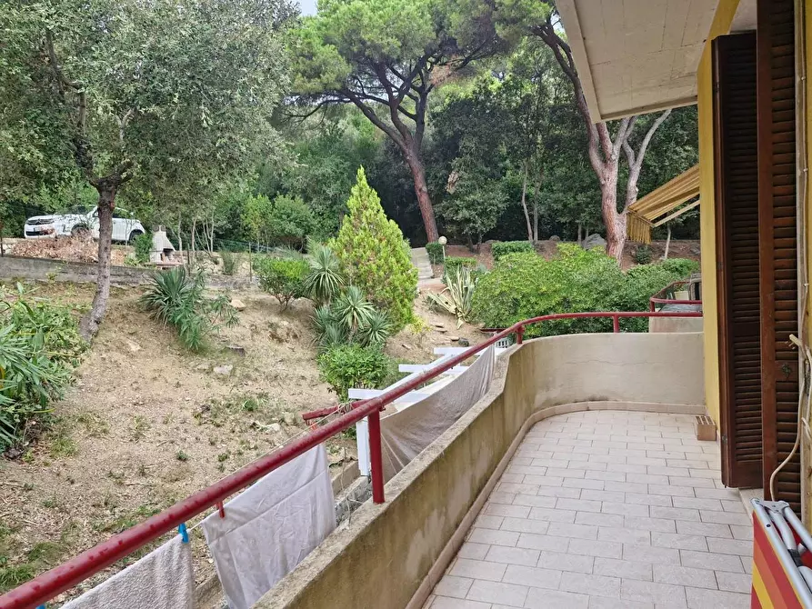 Immagine 15 di Appartamento in vendita  a Rio Marina