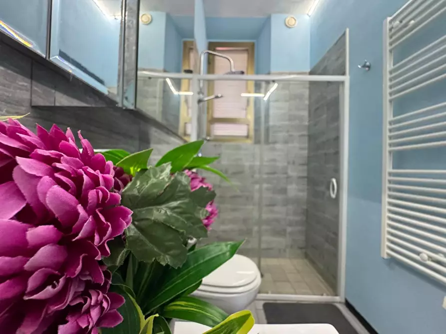 Immagine 20 di Appartamento in vendita  a Viareggio