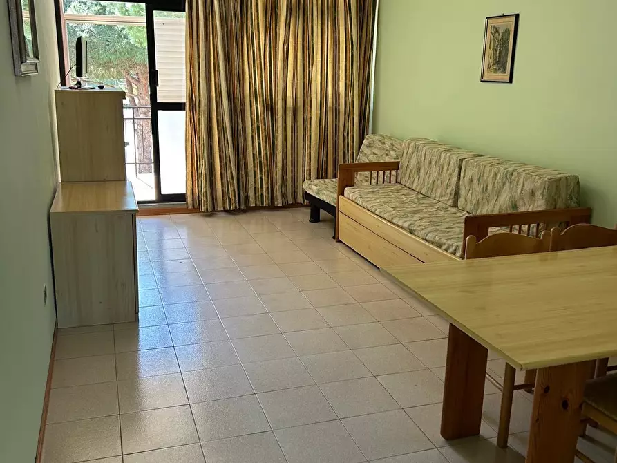 Immagine 1 di Appartamento in vendita  a Bibbona