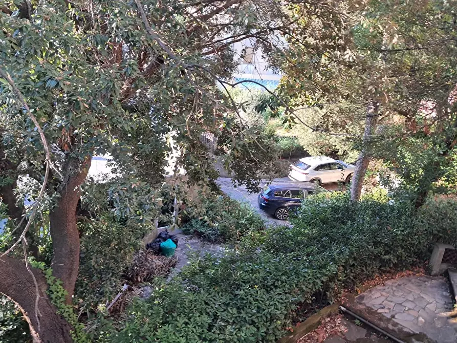 Immagine 38 di Villa in vendita  a Santa Maria A Monte