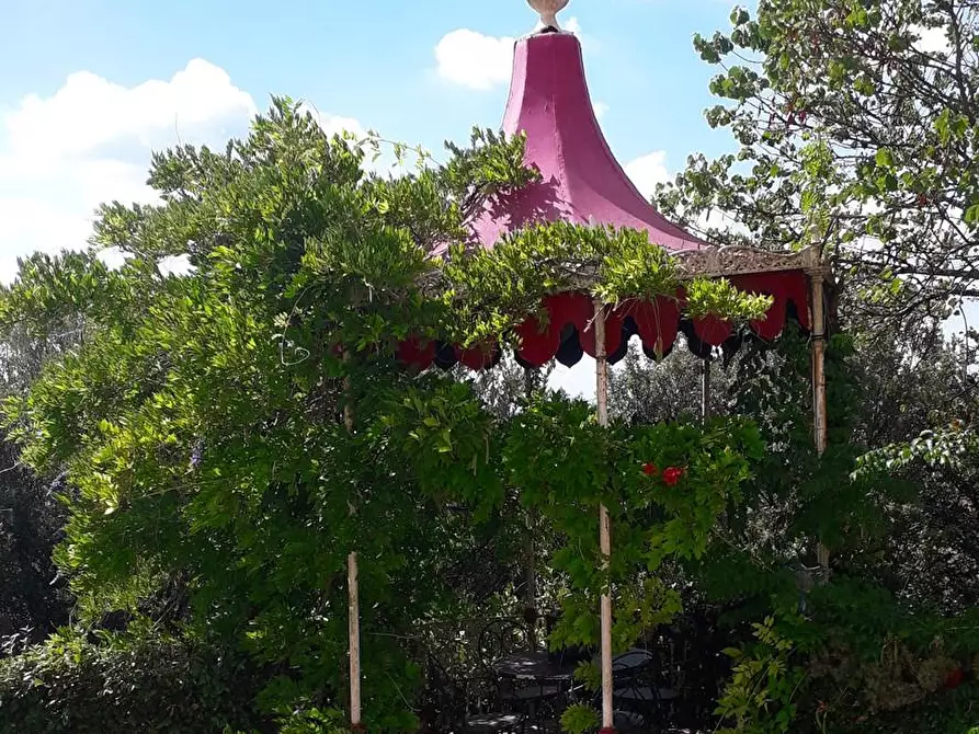 Immagine 27 di Villa in vendita  a Santa Maria A Monte