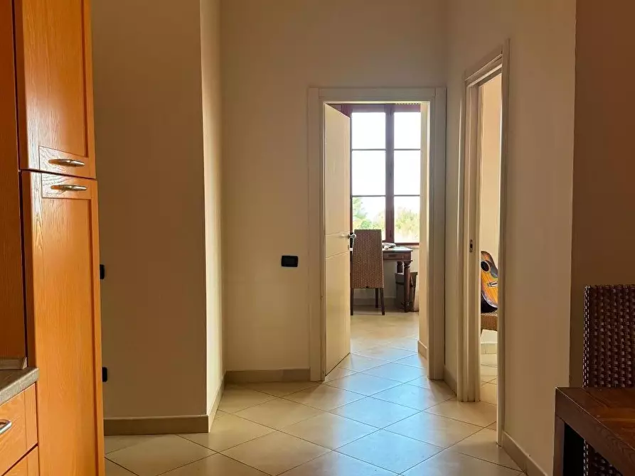 Immagine 9 di Appartamento in affitto  a Pisa