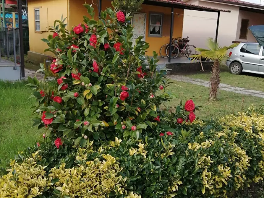 Immagine 1 di Bungalow in vendita  a Massa