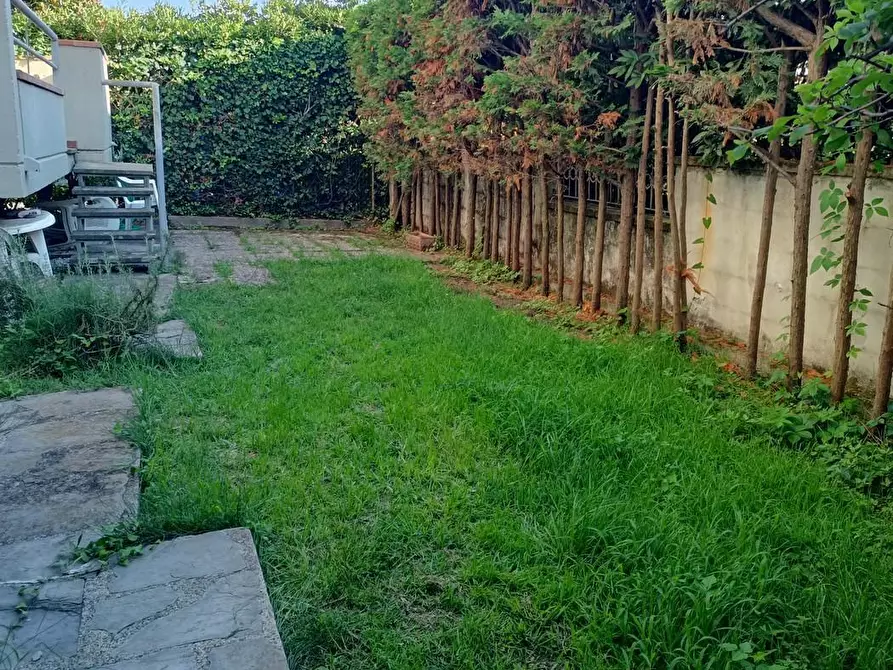 Immagine 14 di Appartamento in vendita  a Viareggio