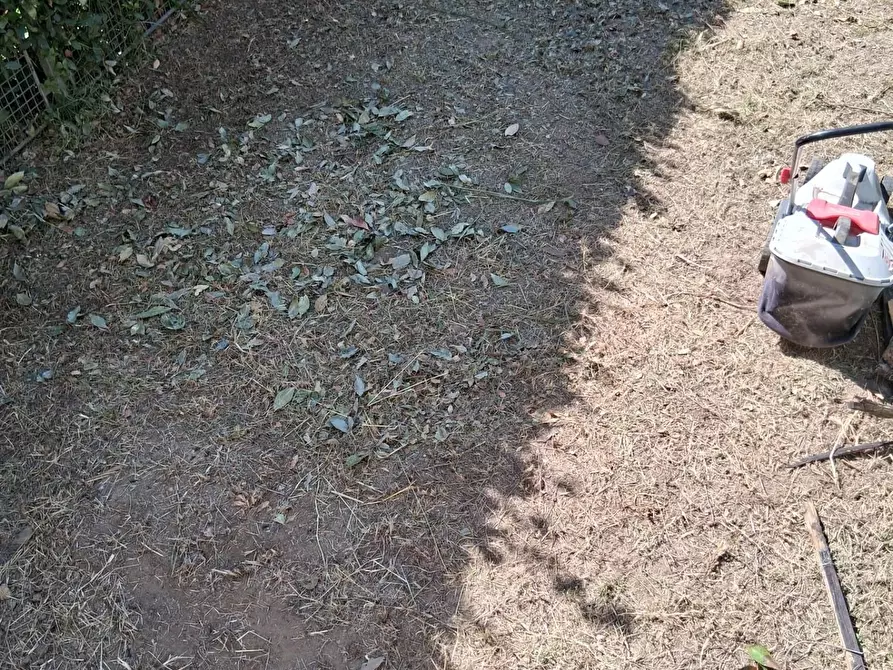 Immagine 19 di Appartamento in vendita  a Lucca