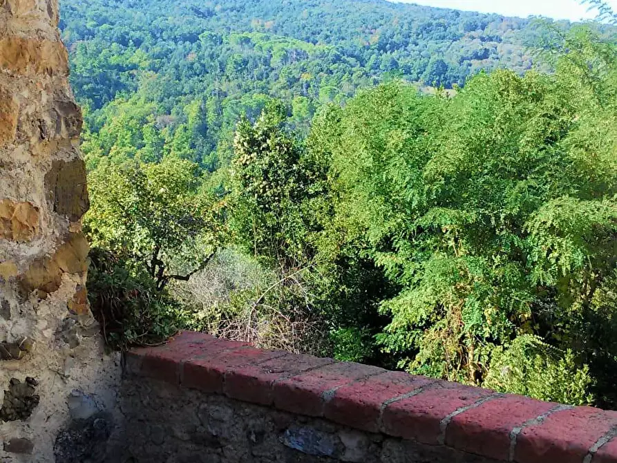 Immagine 7 di Porzione di casa in vendita  a Murlo