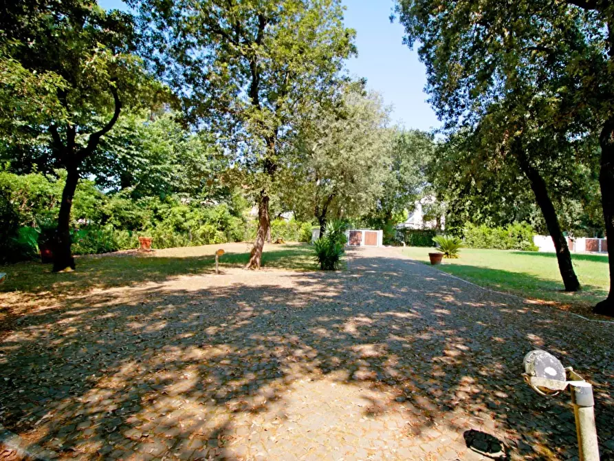 Immagine 41 di Villa in vendita  a Massa