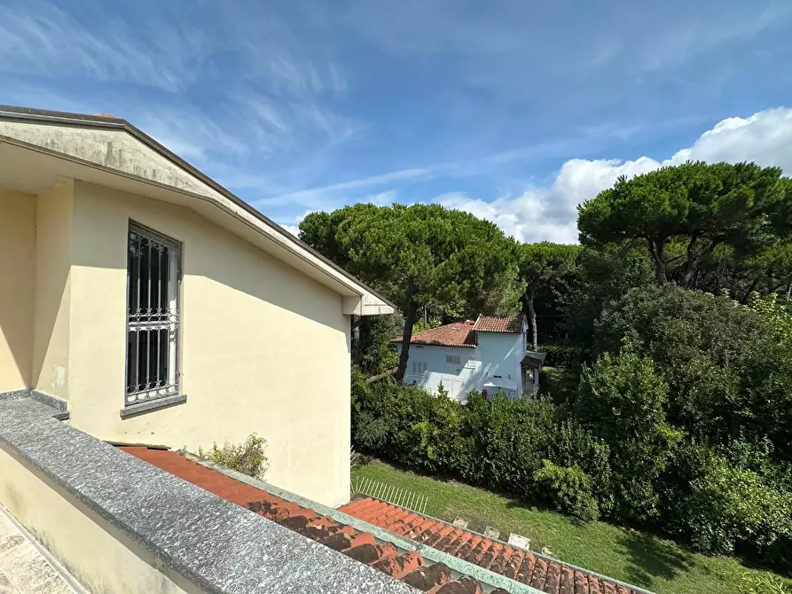 Immagine 66 di Villa in vendita  a Massa