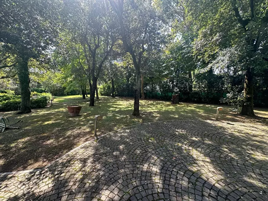 Immagine 50 di Villa in vendita  a Massa