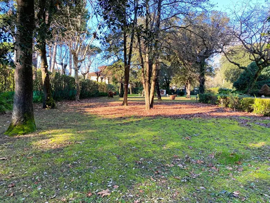 Immagine 4 di Villa in vendita  a Massa