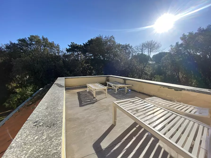 Immagine 34 di Villa in vendita  a Massa