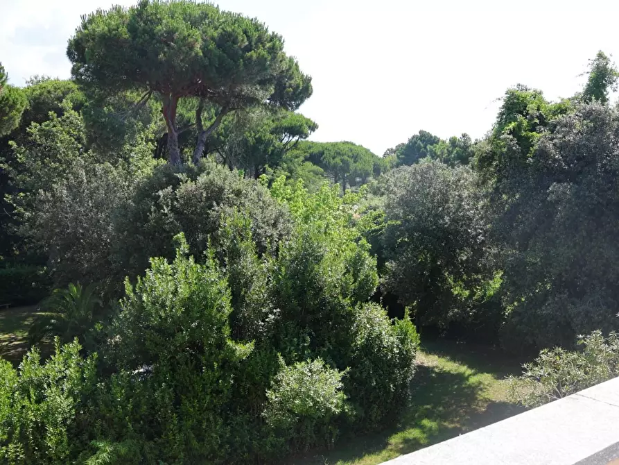 Immagine 21 di Villa in vendita  a Massa