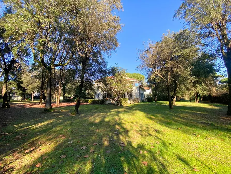 Immagine 3 di Villa in vendita  a Massa