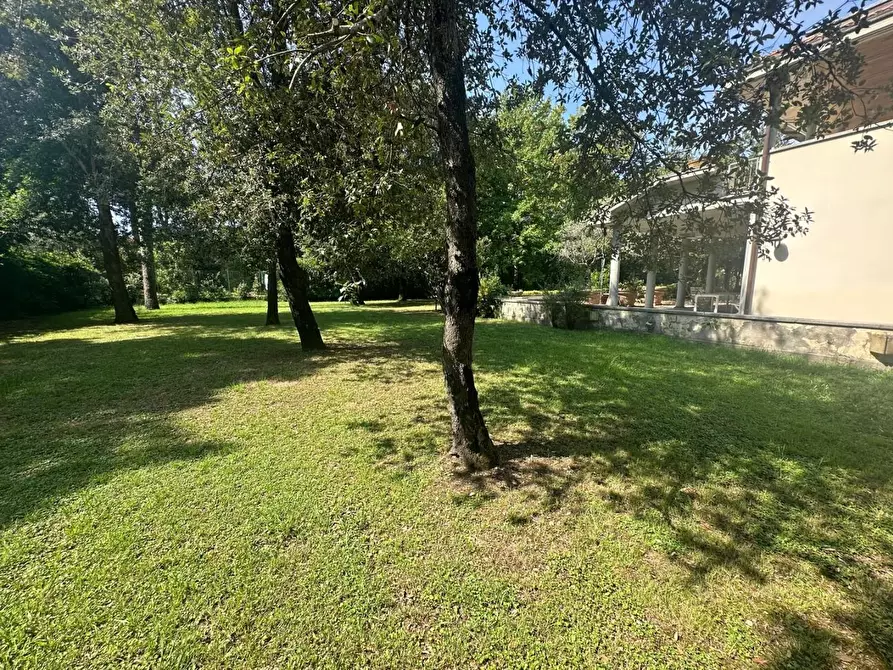 Immagine 45 di Villa in vendita  a Massa