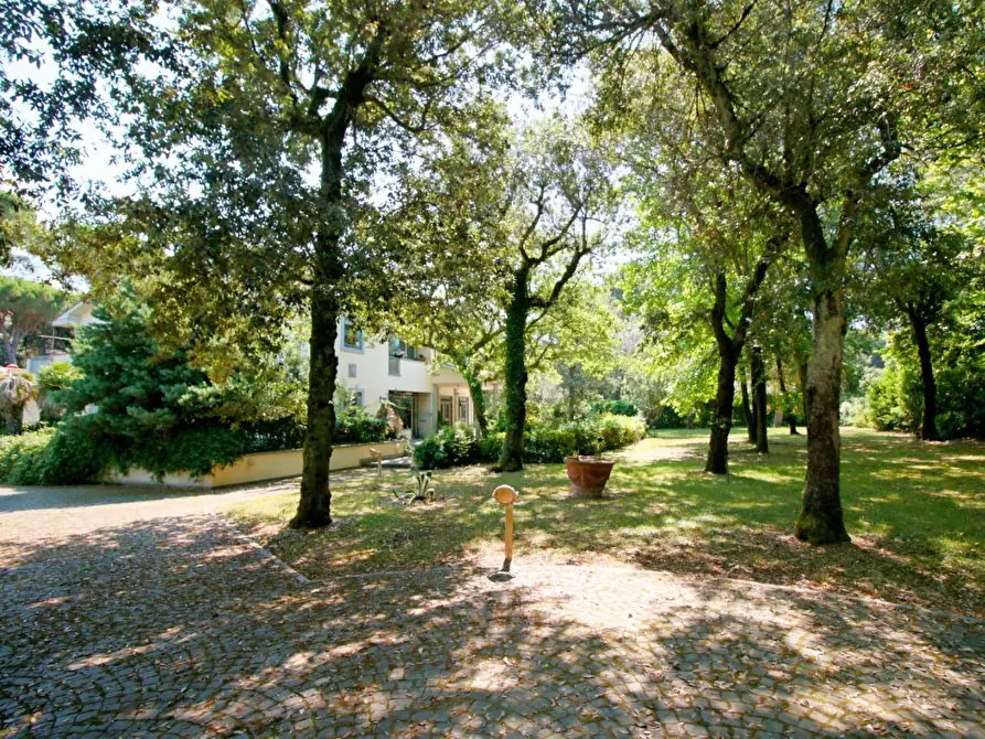Immagine 39 di Villa in vendita  a Massa