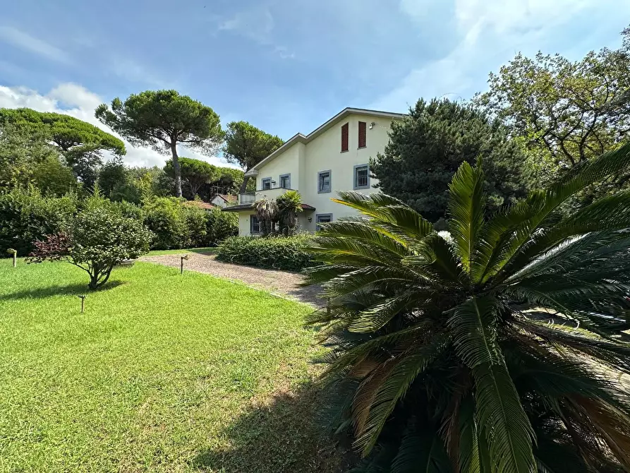 Immagine 59 di Villa in vendita  a Massa