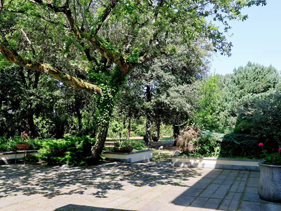 Immagine 23 di Villa in vendita  a Massa