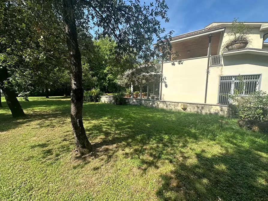 Immagine 46 di Villa in vendita  a Massa