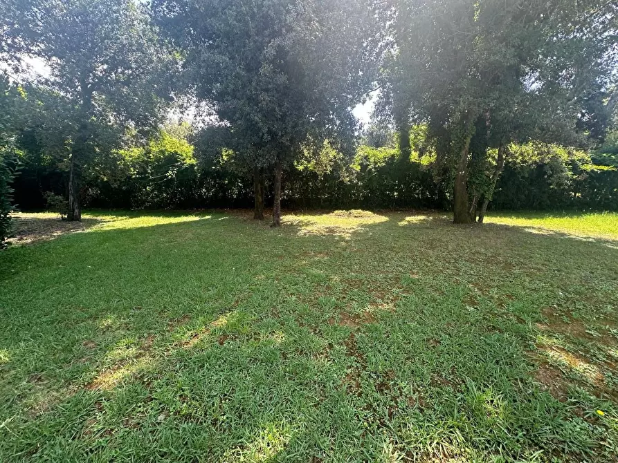 Immagine 44 di Villa in vendita  a Massa