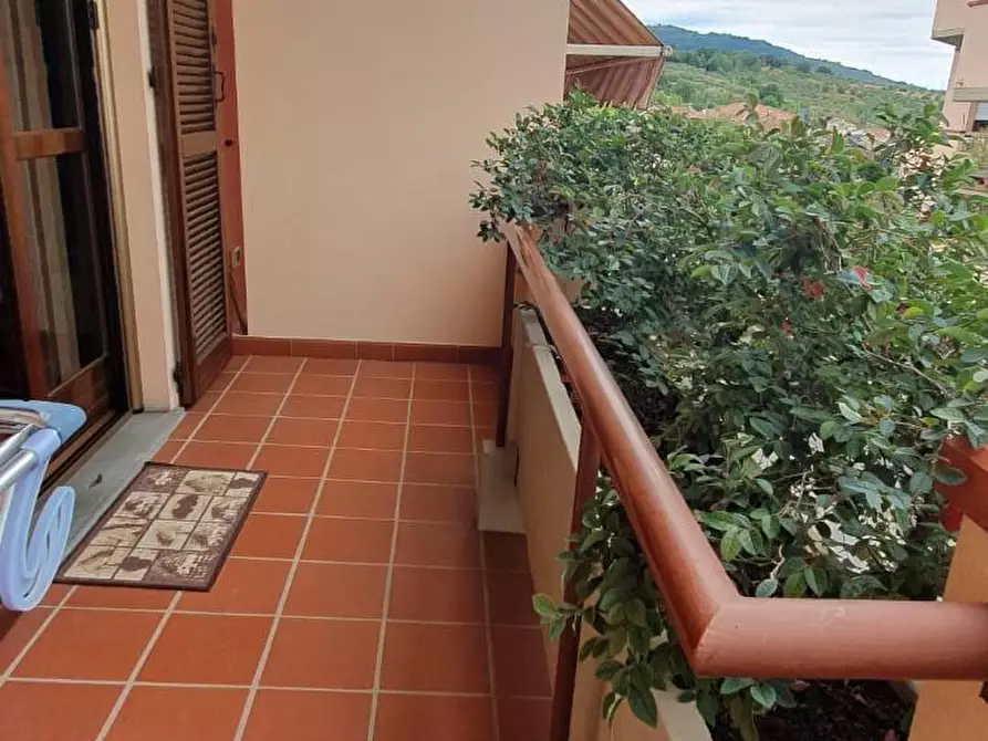 Immagine 26 di Villetta a schiera in vendita  a Pescia