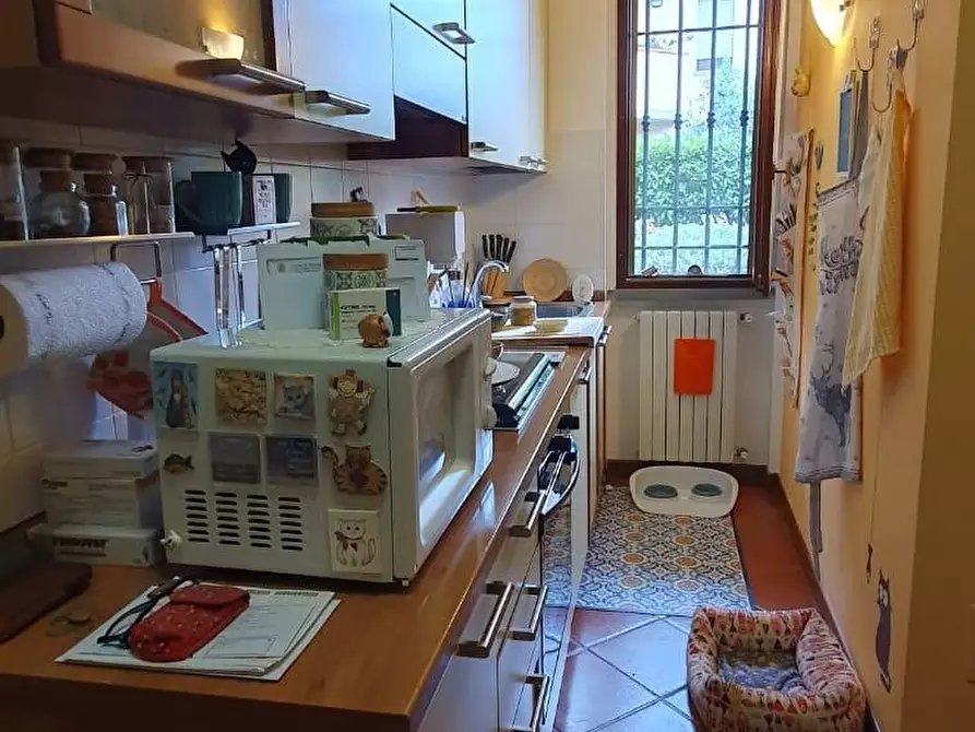 Immagine 8 di Villetta a schiera in vendita  a Pescia