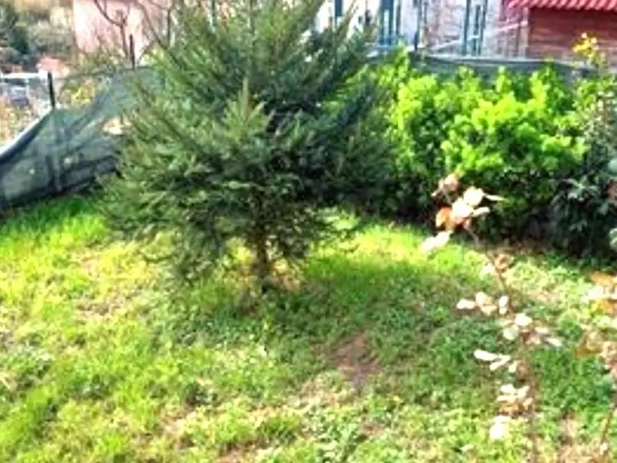 Immagine 7 di Casa semindipendente in vendita  a Carrara