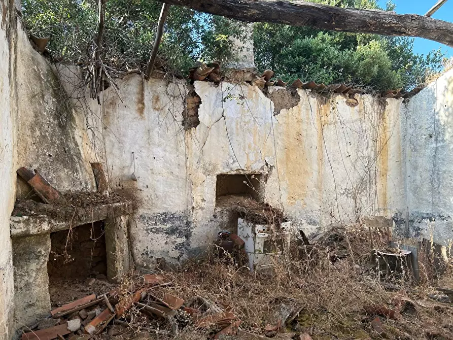 Immagine 9 di Casa colonica in vendita  a Luogosanto