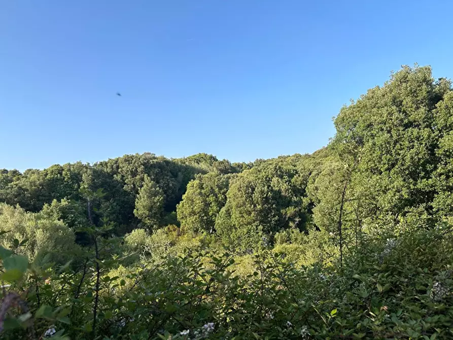 Immagine 48 di Casa colonica in vendita  a Luogosanto