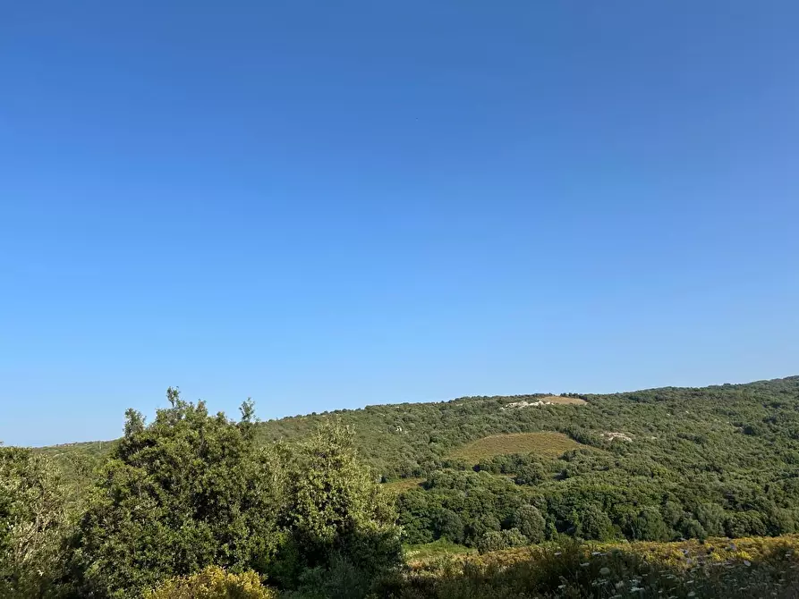 Immagine 50 di Casa colonica in vendita  a Luogosanto