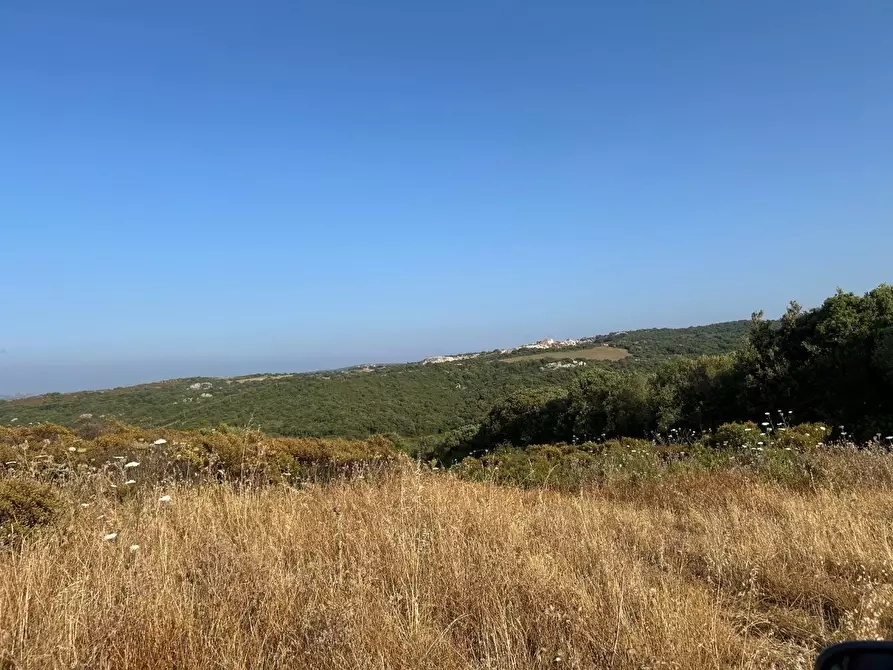 Immagine 46 di Casa colonica in vendita  a Luogosanto