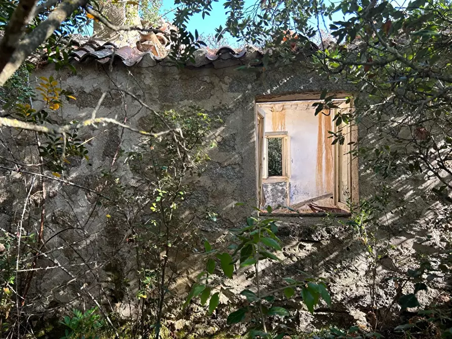 Immagine 13 di Casa colonica in vendita  a Luogosanto