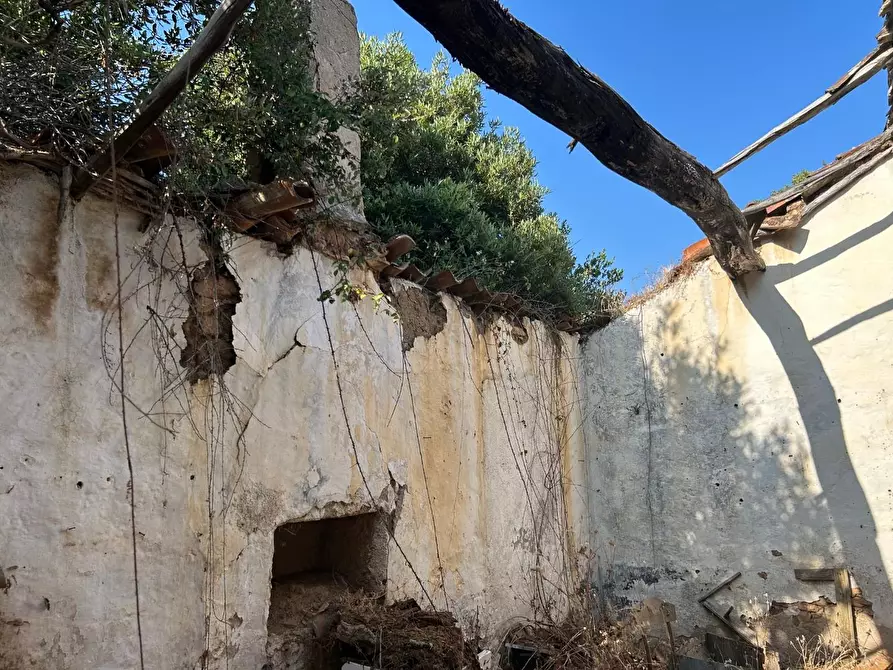 Immagine 6 di Casa colonica in vendita  a Luogosanto