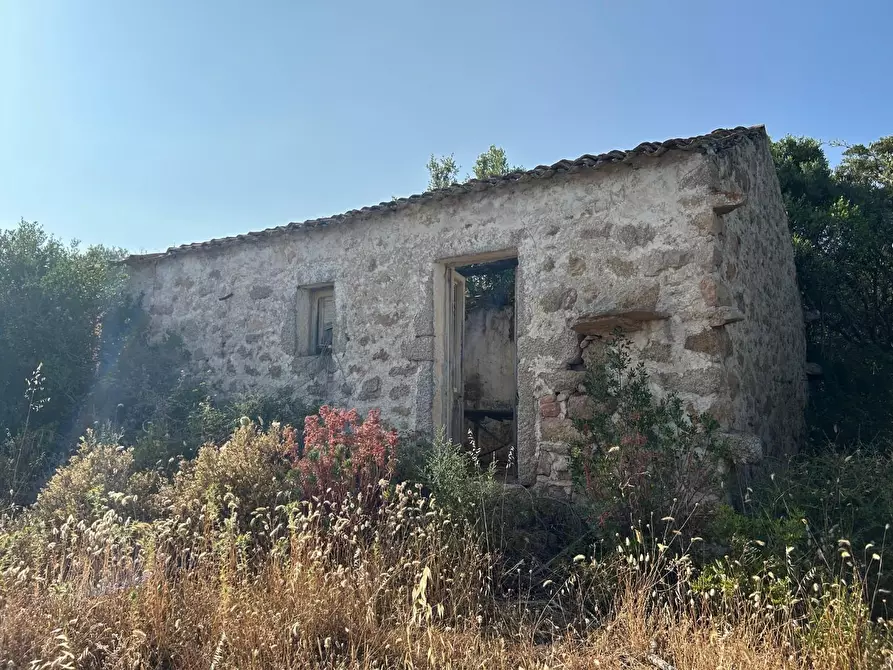 Immagine 1 di Casa colonica in vendita  a Luogosanto