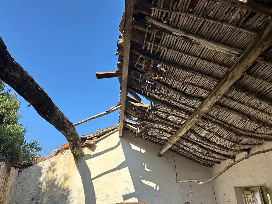 Immagine 8 di Casa colonica in vendita  a Luogosanto