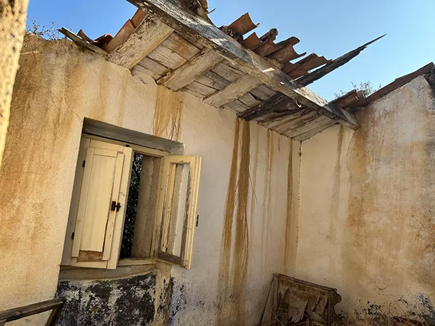 Immagine 5 di Casa colonica in vendita  a Luogosanto