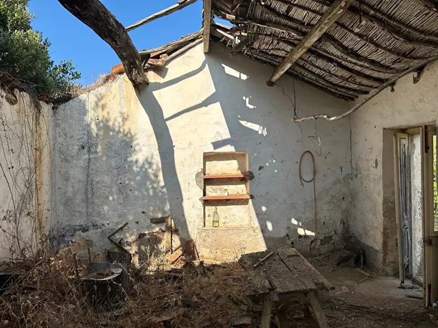 Immagine 7 di Casa colonica in vendita  a Luogosanto